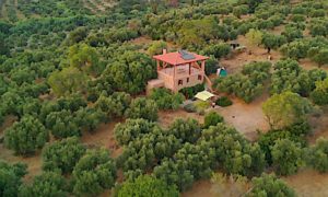 L'oliveraie des Trois Tortues vue du ciel